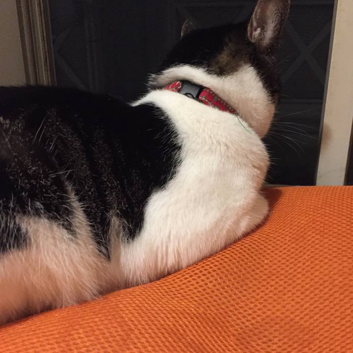 Fb030c09 c9dc 47b7 928d fc67a5816d9e