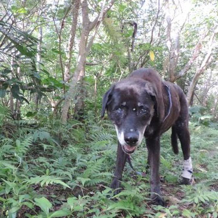 Fb03b568 f962 4f25 8b45 8440e8c7479e