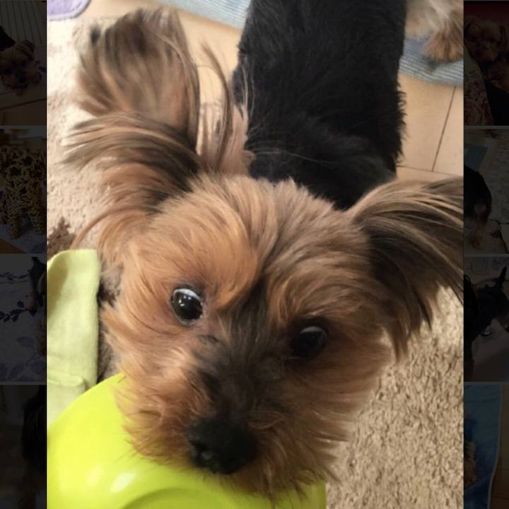 Fb041efa 911a 4c09 9a26 91b832c4257e