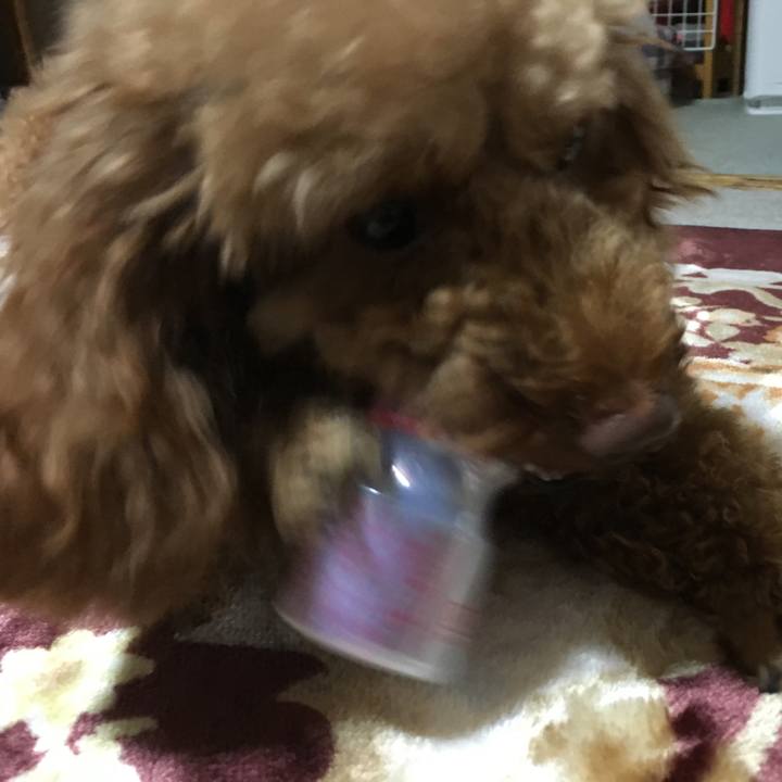 Fb0470ad ed61 4745 bac1 32549861cd0d