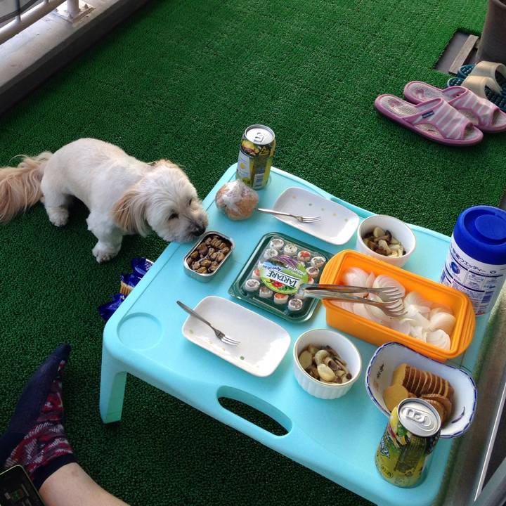 Fb04cf77 a7b7 423e 847d 638517043a32