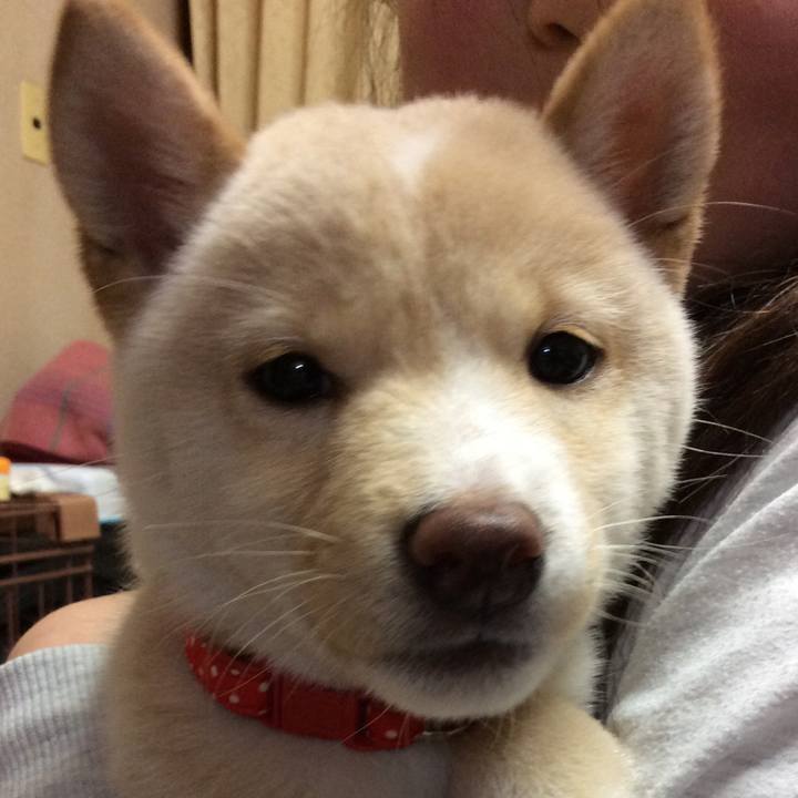 Fb04eb20 225b 49ea 8d41 7569124be61e