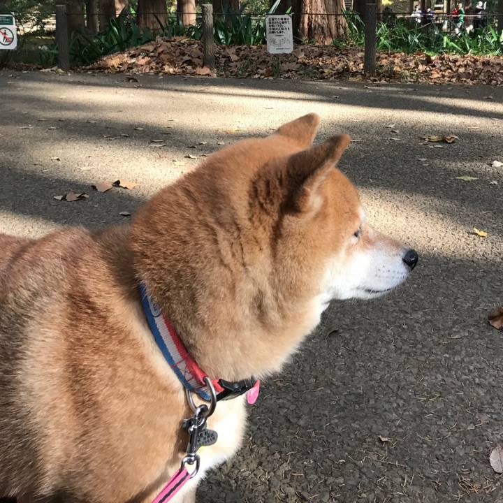 Fb053220 0485 43ed be2e 1975d4804067