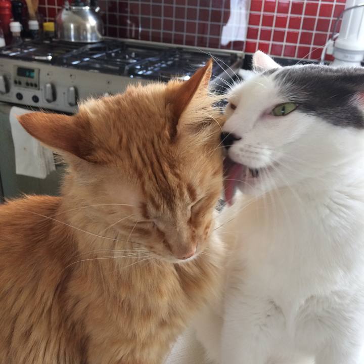 Fb05818b 3a0d 4012 8ca9 e04c9f6b126d