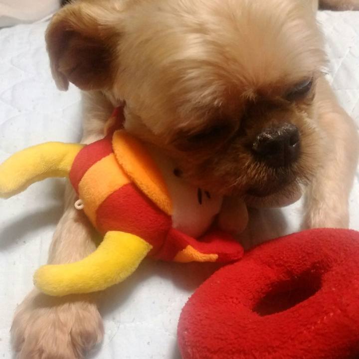 Fb061ec9 2778 446d a952 aec520b6003f