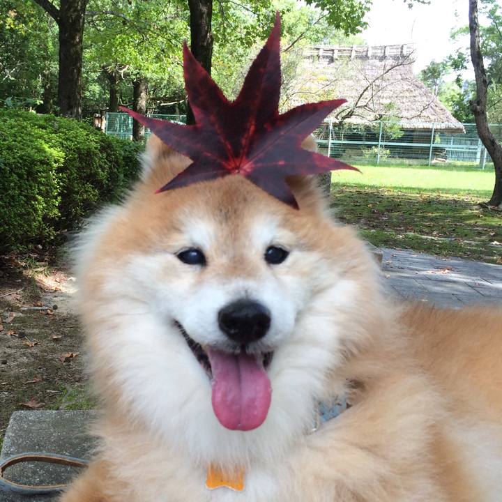 Fb06876b f53e 4cad 8991 9184311cb5b1