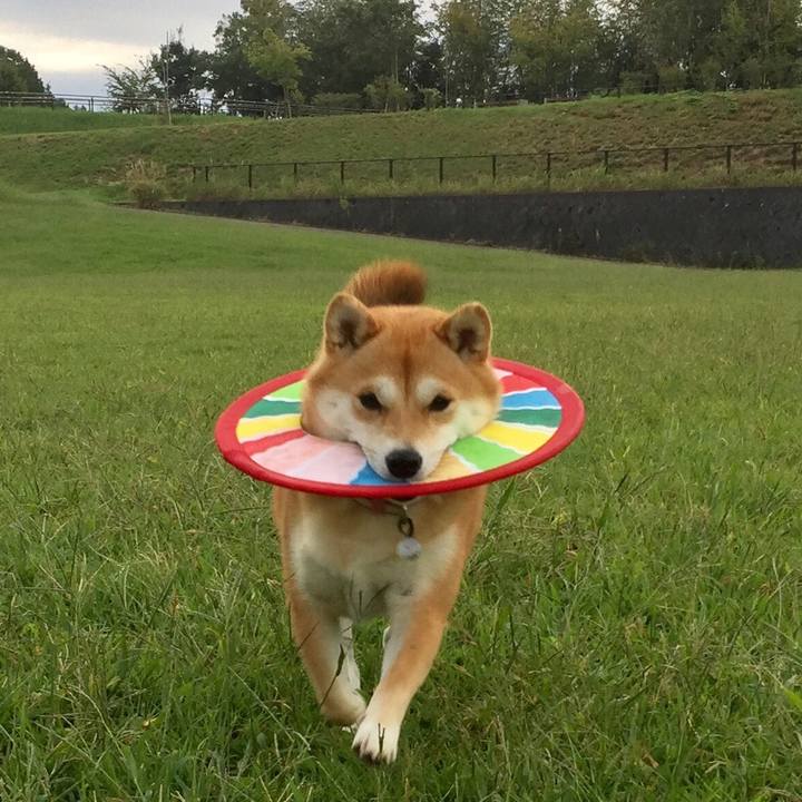 Fb06bd4c aad2 41d0 9684 6e6c26f272b7