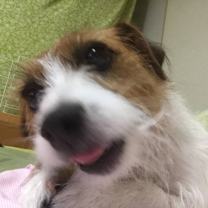 Fb06ef07 4c6a 4b85 99ac 9d1500913a4b