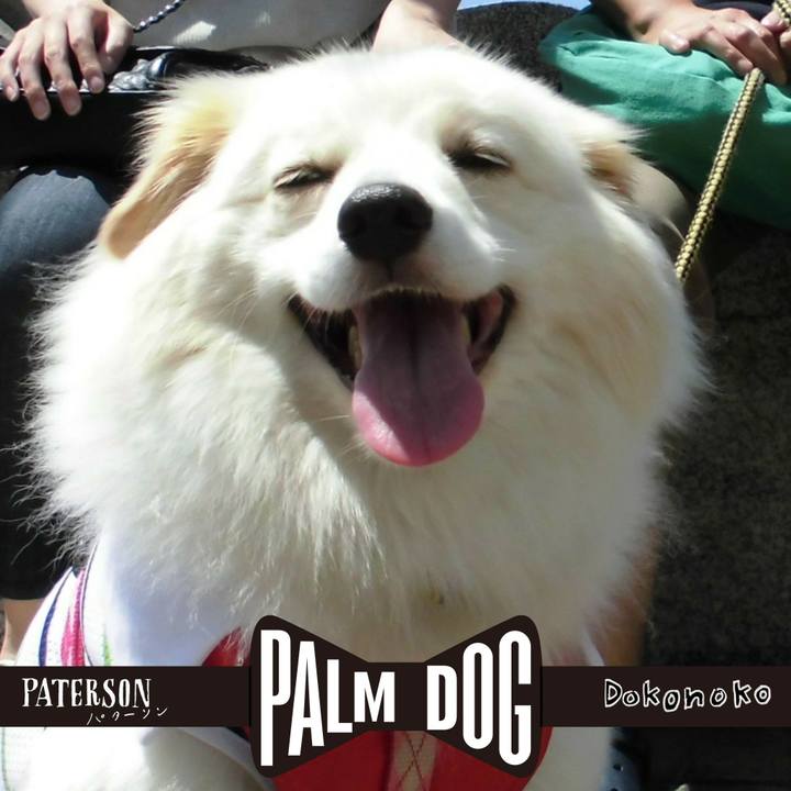 Fb0755e9 439a 454d a735 c90bb2be6571