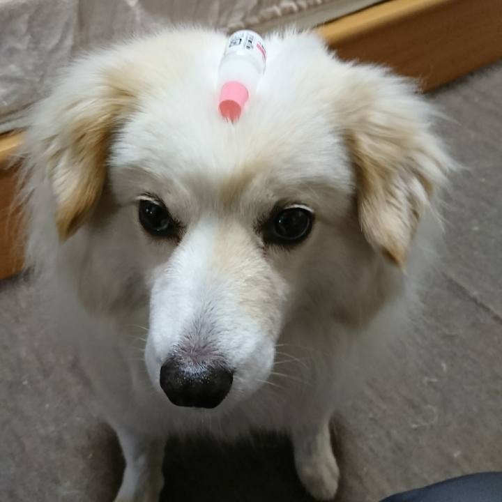 Fb077ba9 e0e9 4e16 a323 73061286a1a1