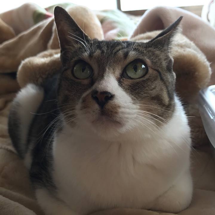 Fb07c0c2 0266 4035 8f14 a9000fc5fe07