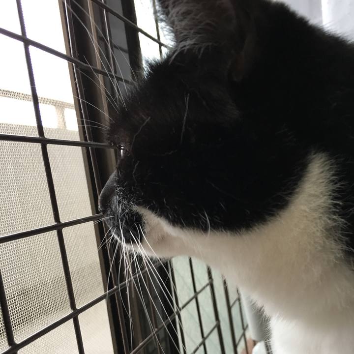 Fb07f0f3 aea3 4bcc 931d d693a9d7c9ea