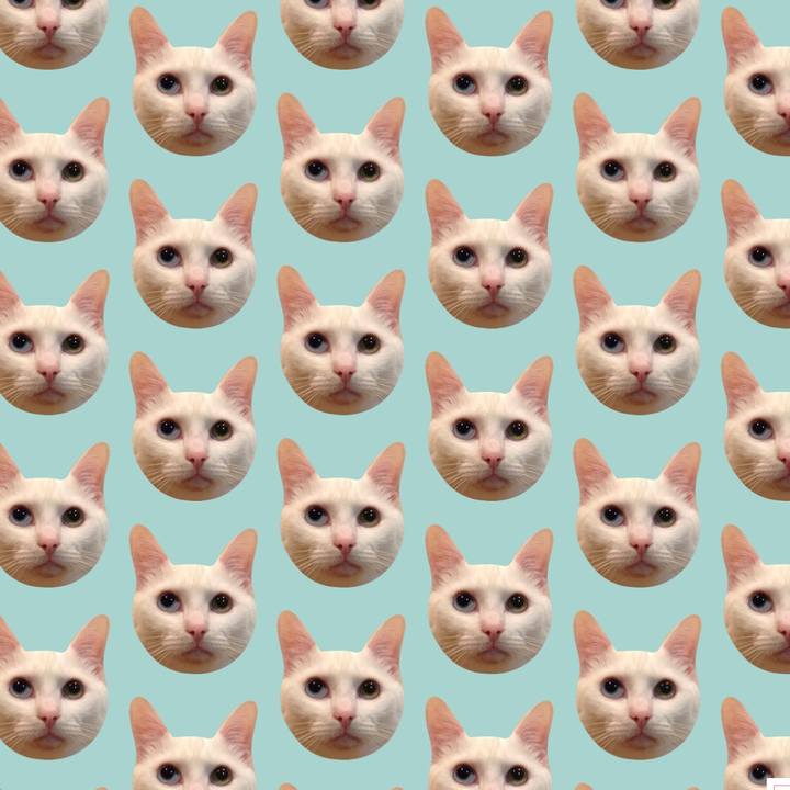 Fb08c2c5 5e7a 46ea aacb d6e3f4da70d6