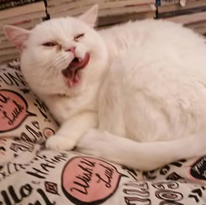 Fb09cc7c 30cd 442e 9979 fe7ba29e8de2