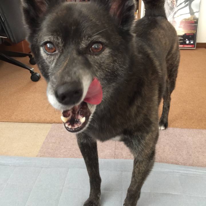 Fb09ee78 d99f 45f6 a16d e8aef74185e1