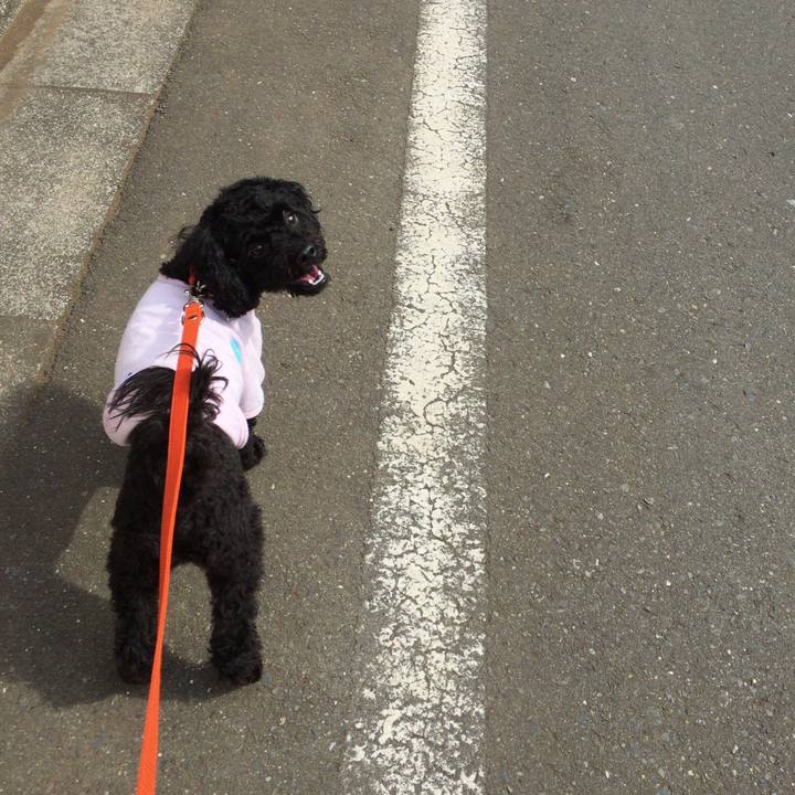 Fb09f029 cfa0 43fb b8f6 82839aa77445