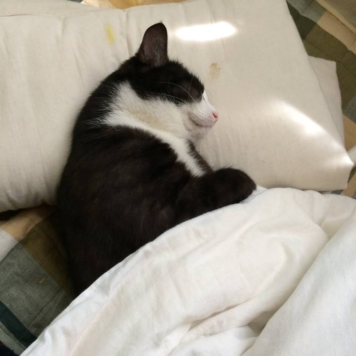 Fb0a7254 2937 45cb bbdd 98792b0c0bb3