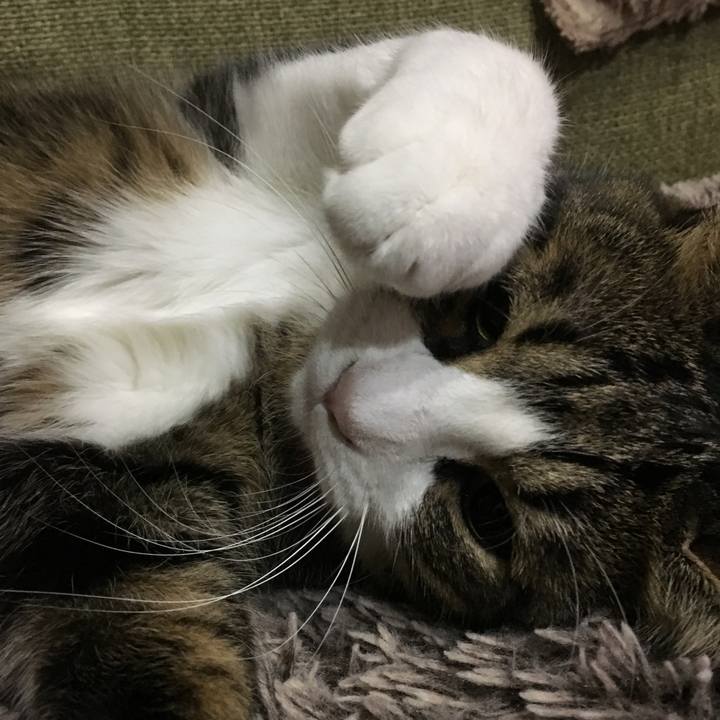 Fb0ab8ba c89f 4359 b72e 93d71bc63bc1