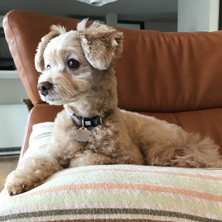 Fb0b092f ed0a 4c70 9ddb 606da247aacc