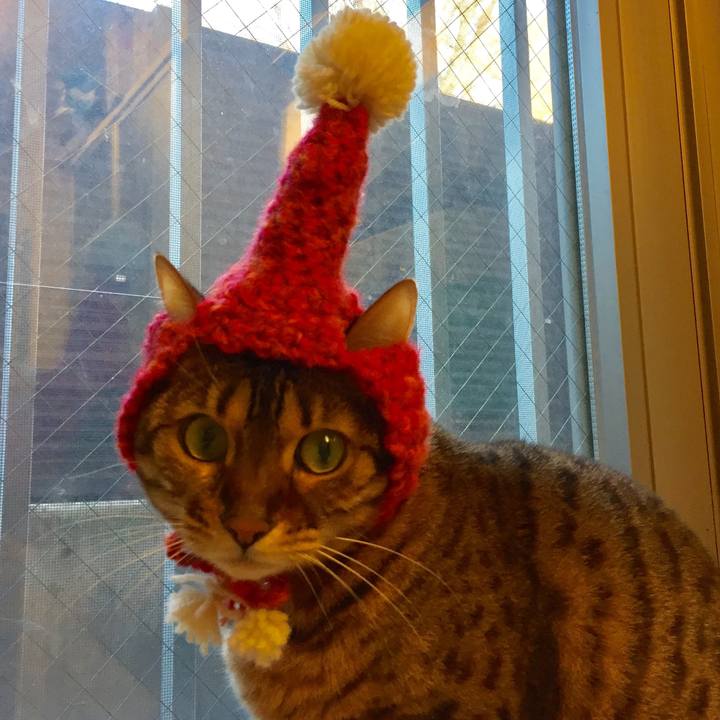 Fb0bc923 15c4 438c a106 40fd6926685c