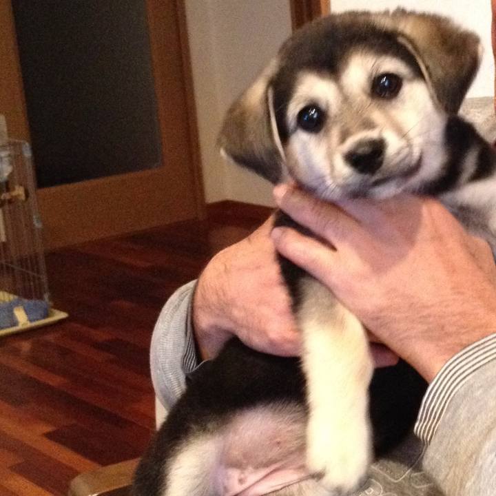 Fb0bf274 b37c 46dc 8e9e eb4ae147f28e