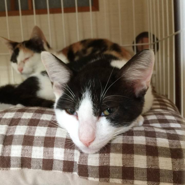 Fb0c9856 16fe 4cf2 859f 5e47c8af2fee