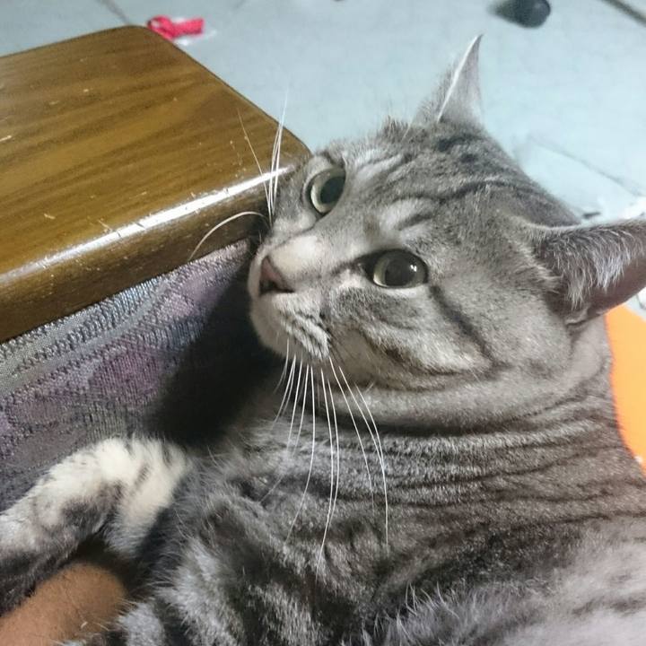 Fb0caa3f 1e73 40bf 847b 6993e093d8bc