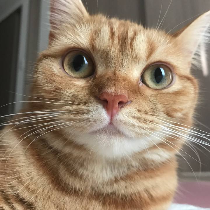 Fb0cadd2 4ca4 4a1c a2ff aad4e32b684c