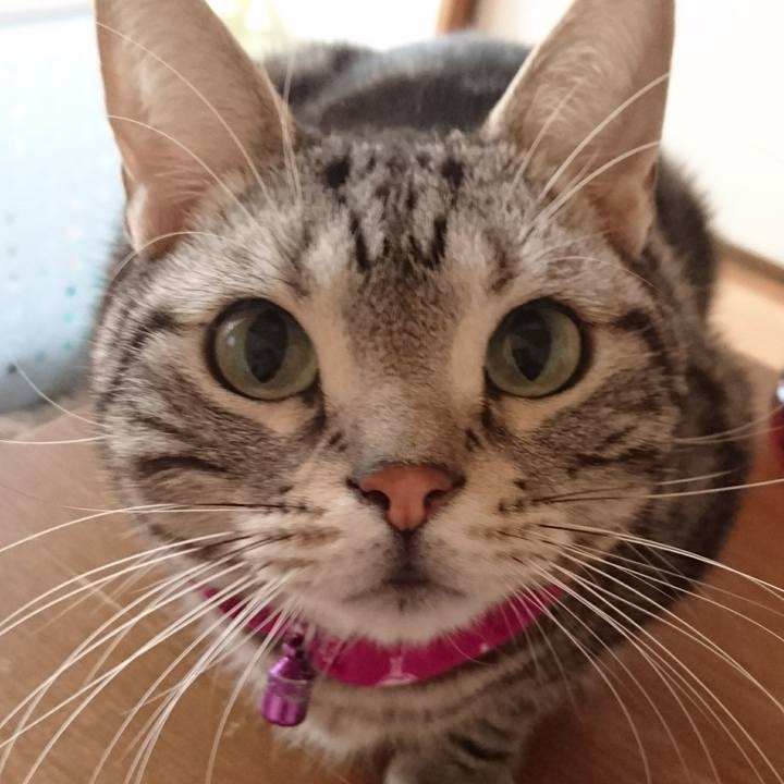 Fb0d10c8 4a64 48b0 9362 f8123d1a2342