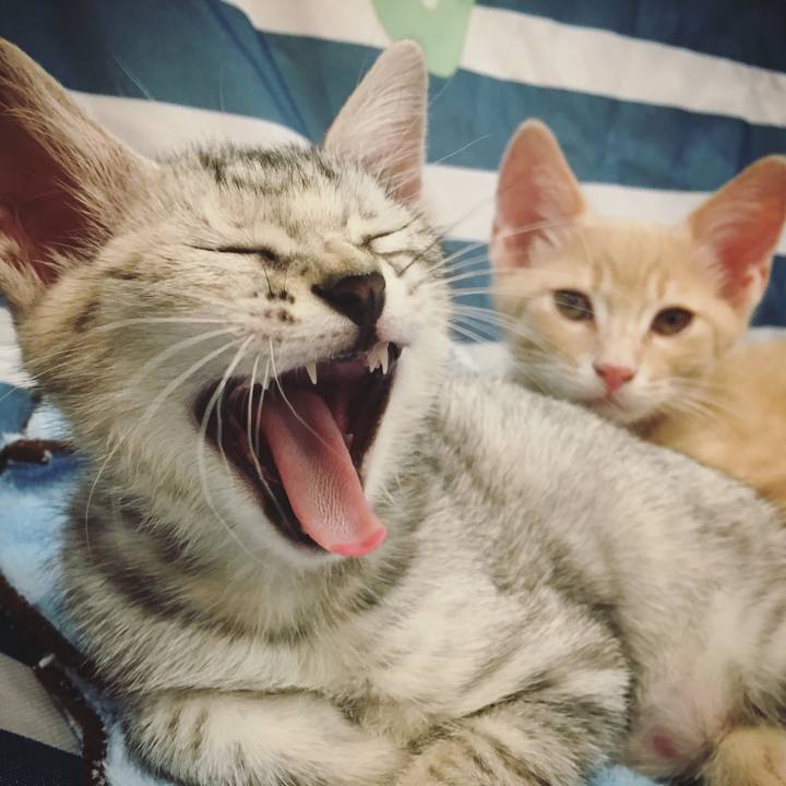 Fb0d98e5 78cf 408d abb6 17ee631f1c3e