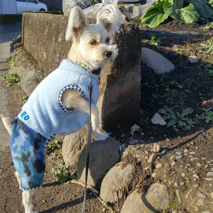 Fb0e0d88 ae5f 4045 a380 60b08a144867