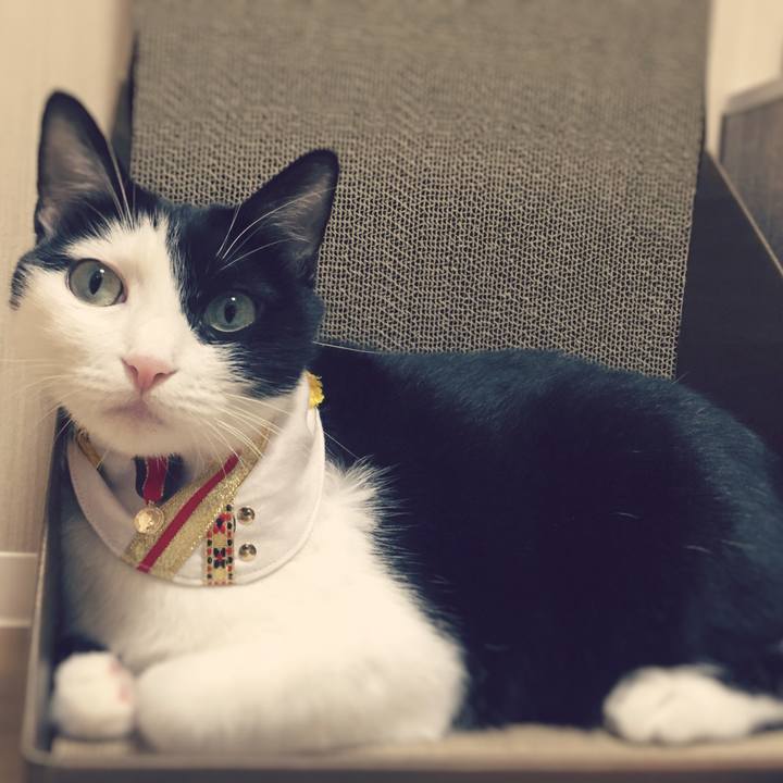 Fb0e17d3 4e8c 4aab ba90 a6fe0ae1d728