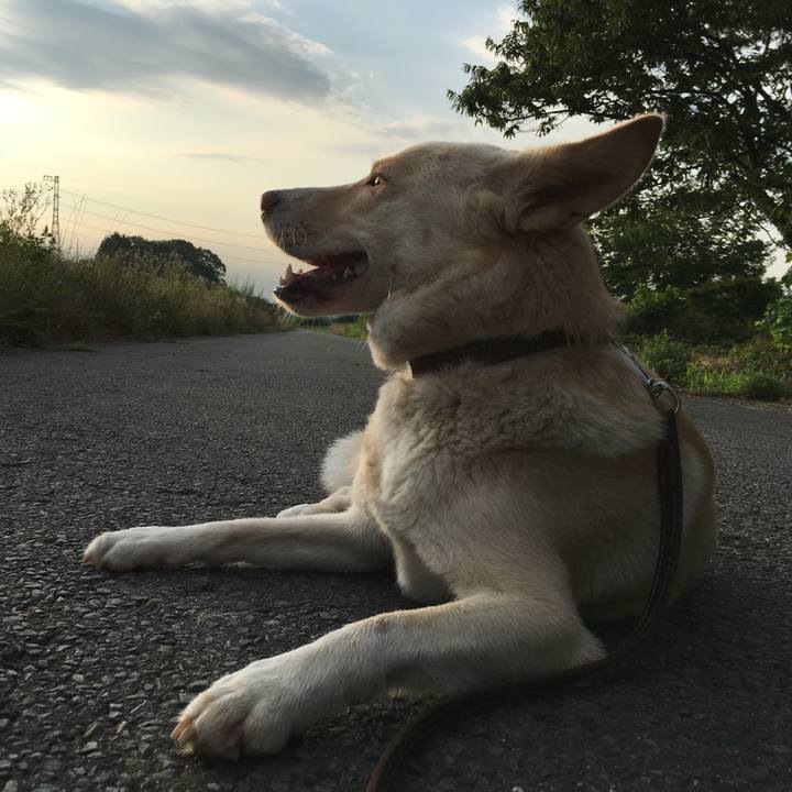 Fb0e1dfd 3f21 4270 99a1 c2035c73c761