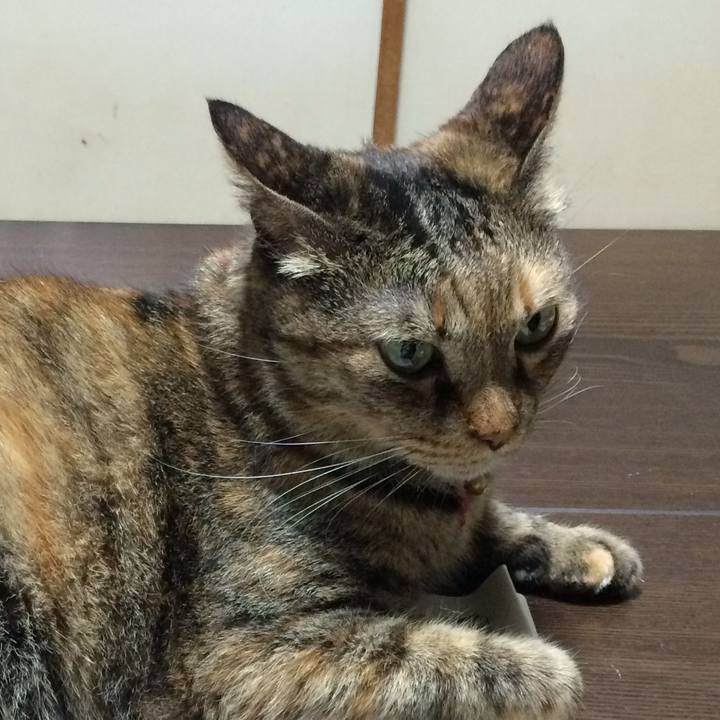 Fb0e9345 150c 4af2 98a1 fc33bdbc6dae