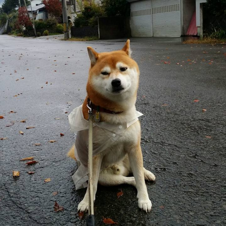 Fb0eb3de be14 4b73 aa45 46638f32ae87