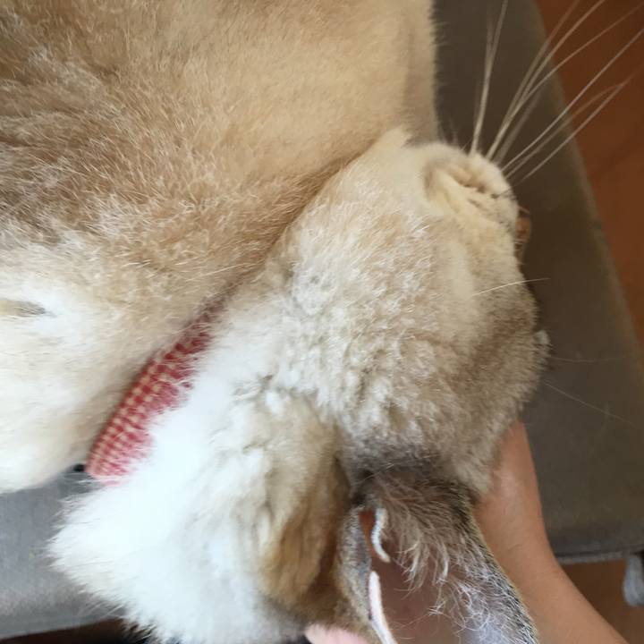 Fb0ebad9 075f 45eb a5fc e7e298eaec6a