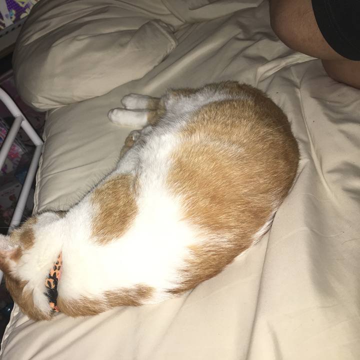 Fb0f1f2d 040e 4de8 a5ad 15127c2589f7