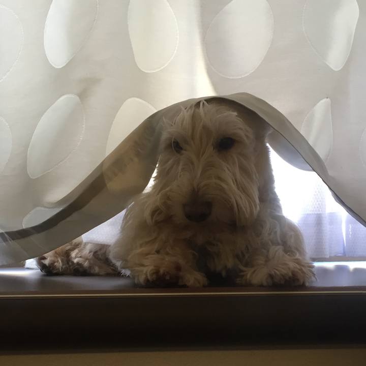 Fb0f4ef3 1555 499e 8304 d1386e7fd519