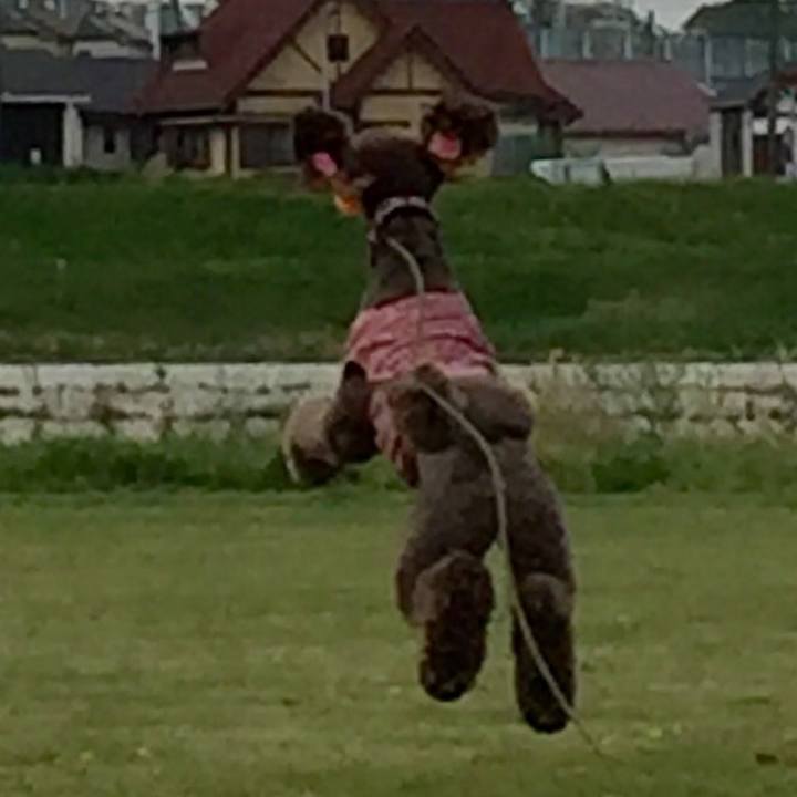 Fb0f8f31 8e9c 44a2 953c f6d9e77f30d2