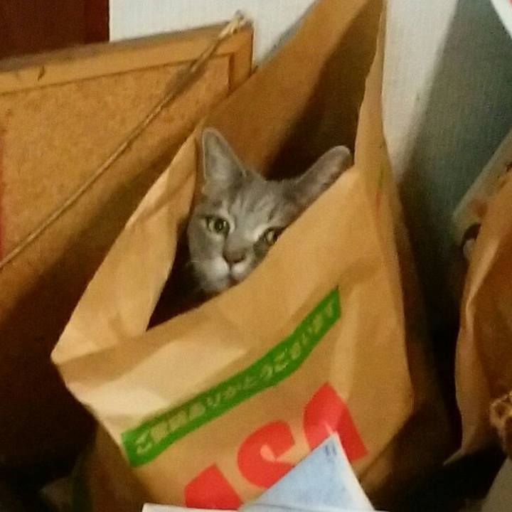 Fb0f92e8 9a6d 473a 91e4 d840e4f5950c