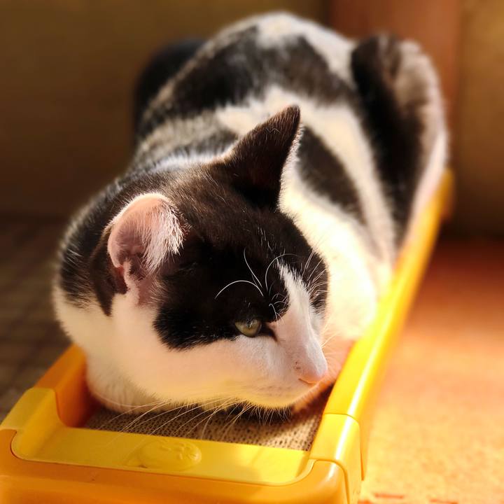 Fb0fe61c 8949 40b5 8f69 0038ced13b46