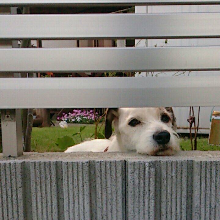 Fb1096e0 6f40 4a1e 924e 6927573e854f