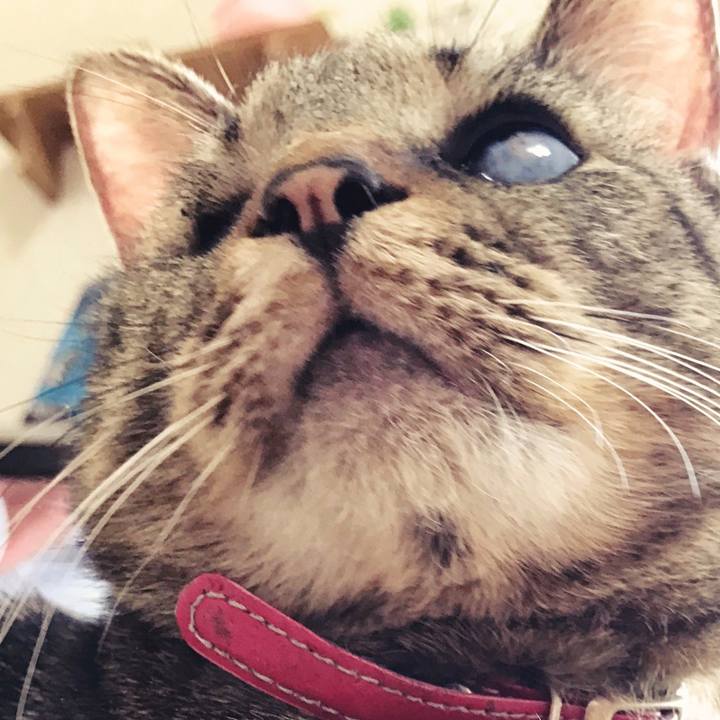 Fb10c1c1 8a64 448a b7f6 a1001010d43b