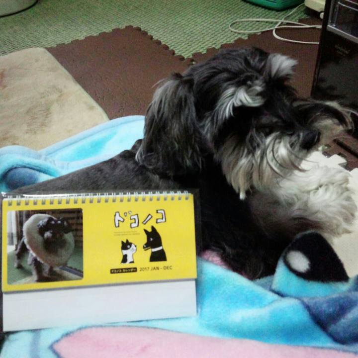 Fb115d59 61bf 40d1 93cf 69117e2751ed