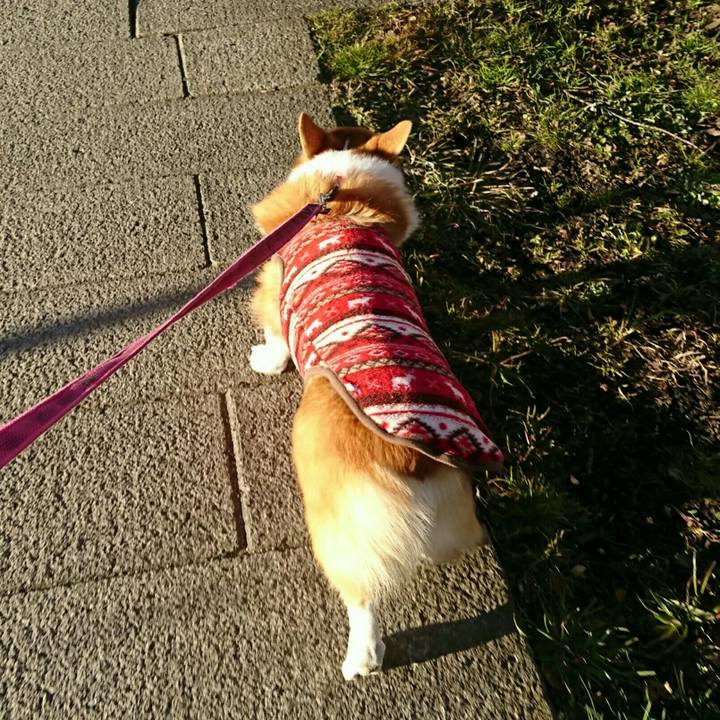 Fb116934 0841 49ed 8734 822abda96fee