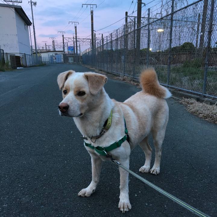 Fb1193bf caf1 4c43 adca bf15cdbf5ae4