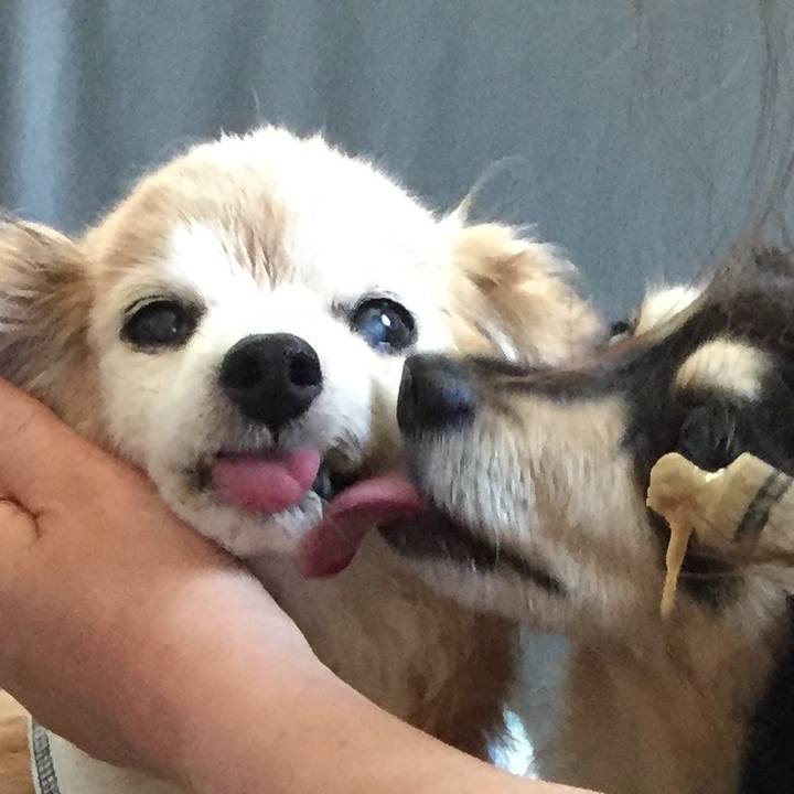 Fb11a268 2051 4cb6 93a9 05eef7755430