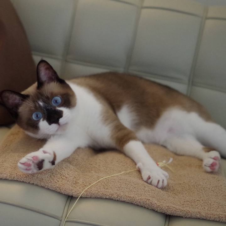 Fb12a0eb d22d 4ce0 8b4e fe1aec4d91f7