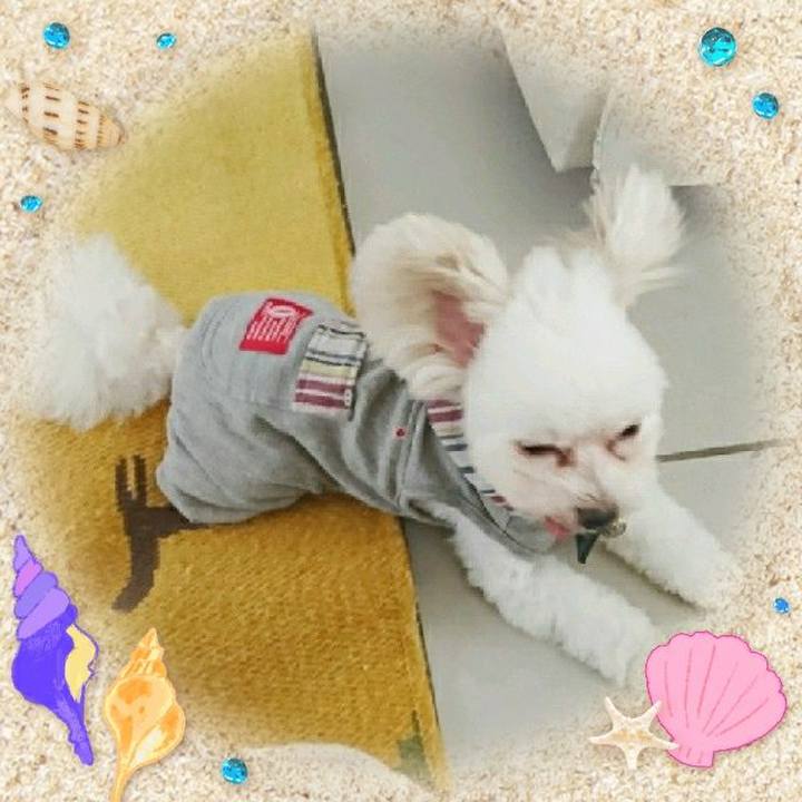 Fb12c638 a269 4e06 8ce3 a089f3ff15e6