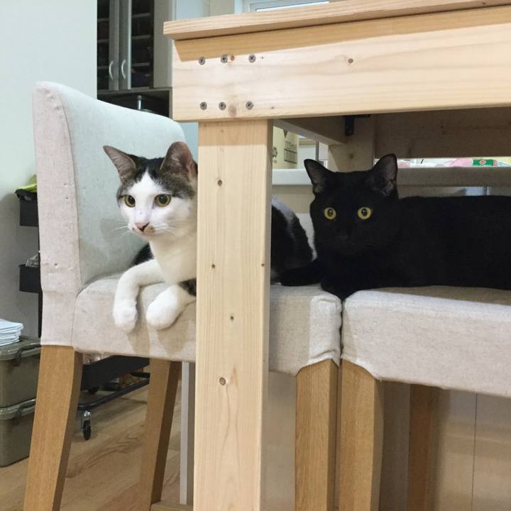 Fb137e19 8819 489c b9b7 855998d38987